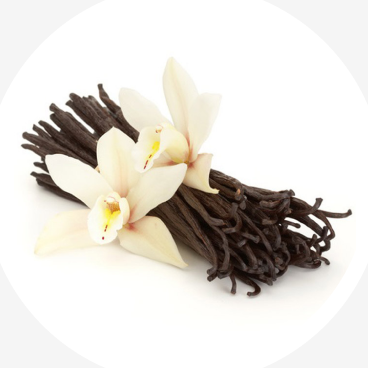 Trailblazer Granola - Maple Almond & Brown Sugar