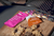 TASTE TEST | WHAT'S YOUR GO-TO?