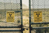 f_article.image.alt
