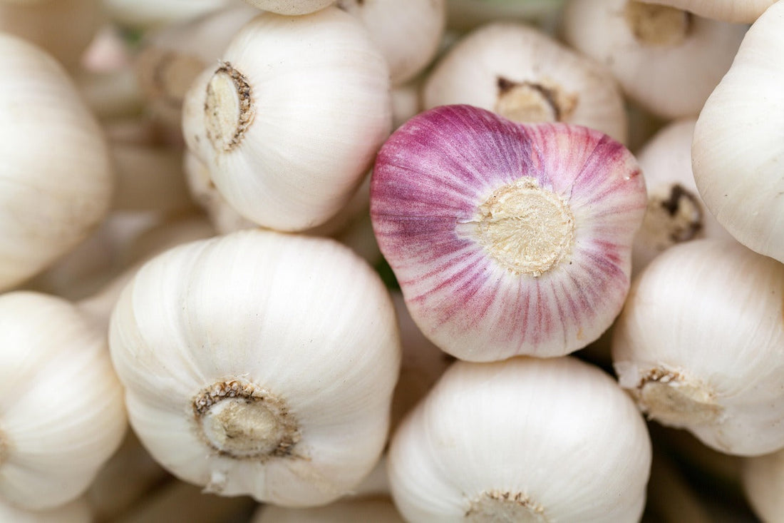 Ancient Herbs, Foods, and Diet for Heart Health